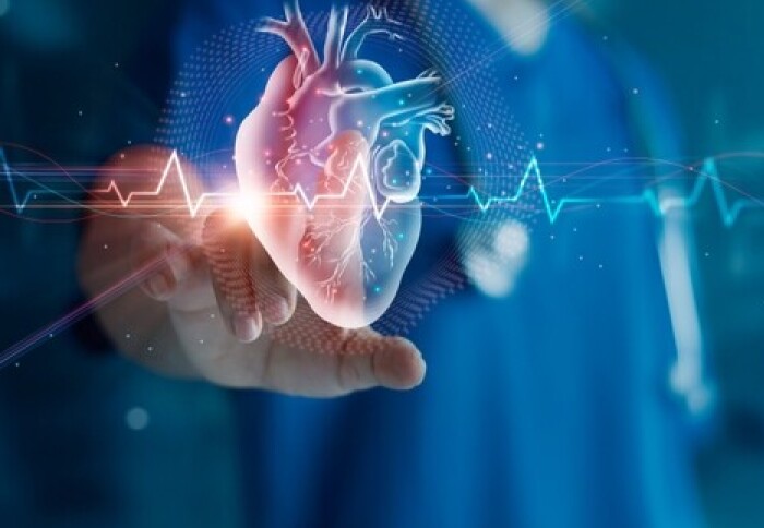 „Digital twin” revoluționează chirurgia cardiacă. Medicii ar putea salva vieți în cazuri critice folosind copii virtuale ale inimii