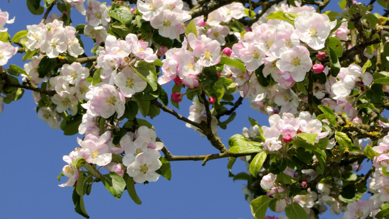 Cum e vremea de Paște? ANM a publicat prognoza meteo pe regiuni