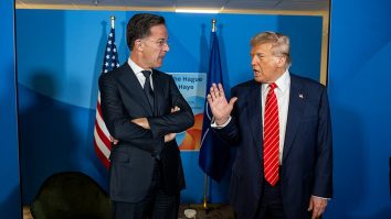 Rutte nato