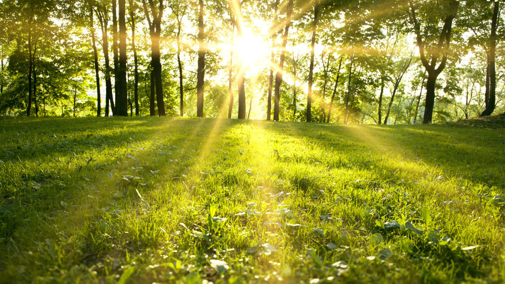 Vremea se schimbă radical săptămâna viitoare, cu temperaturi de până la 24°C la început
