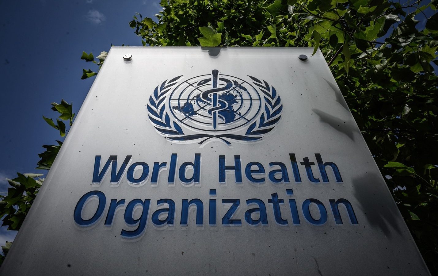 OMS declară focarul de Ebola din Congo și Uganda drept „urgență de sănătate publică de interes internațional”. 80 de persoane au murit în Congo