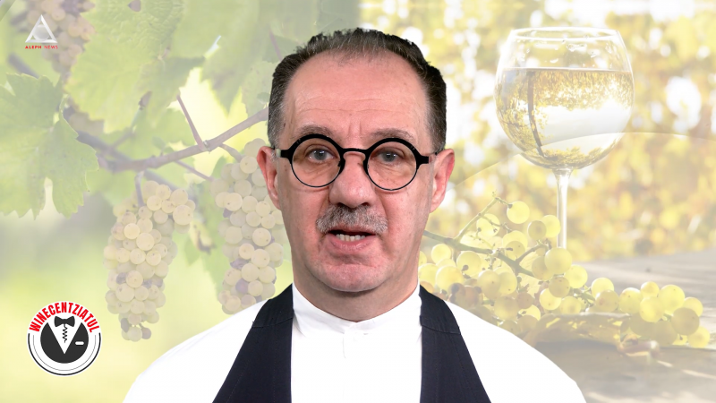 WINE