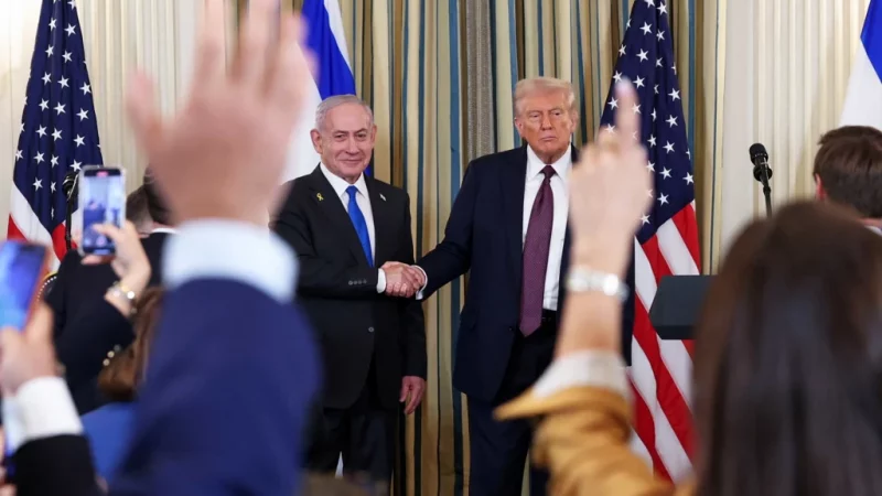 Bibi