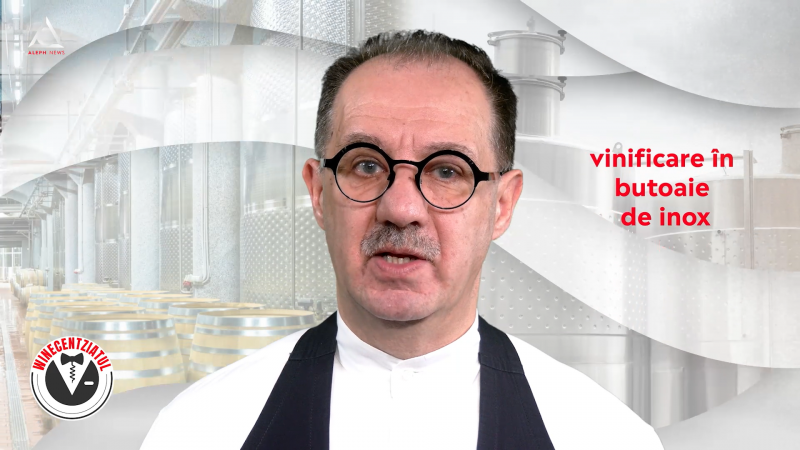 Vin
