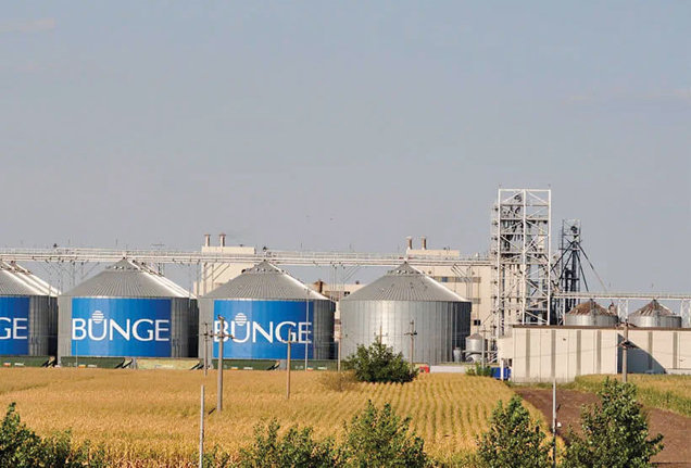 6 bunge lehliu