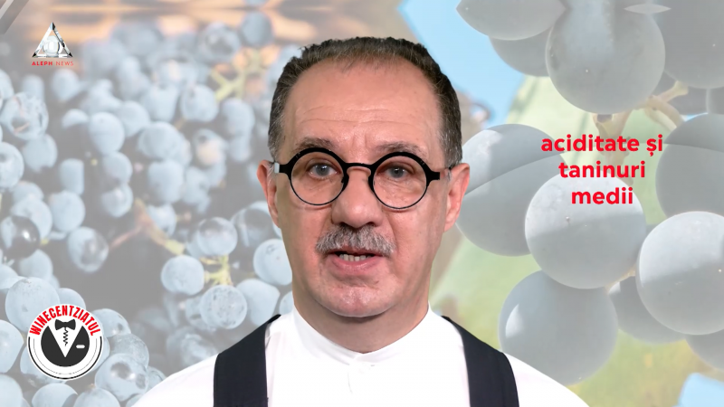 VINCBDHC