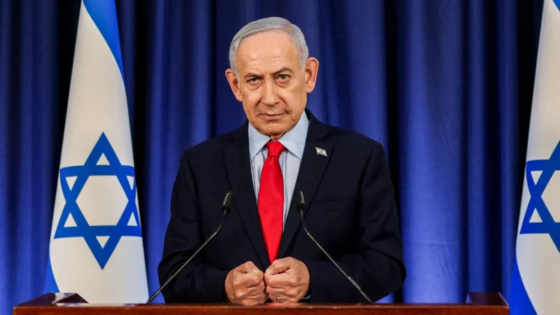 Bibi.