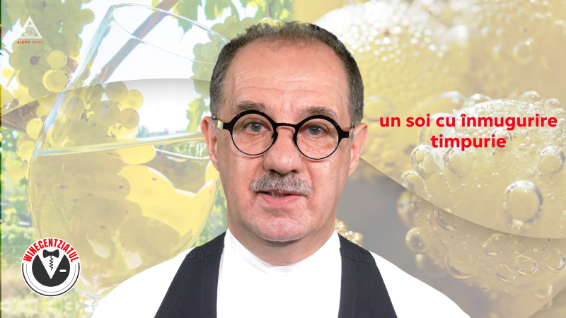 Viognie