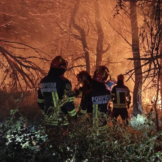 Europa se confruntă cu unul dintre cele mai violente episoade de incendii de vegetație din ultimele decenii. Peste 320.000 de oameni au fost evacuați din Franța și Spania. Pompierii români intervin în sudul Franței