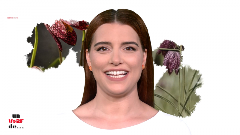 LALEA