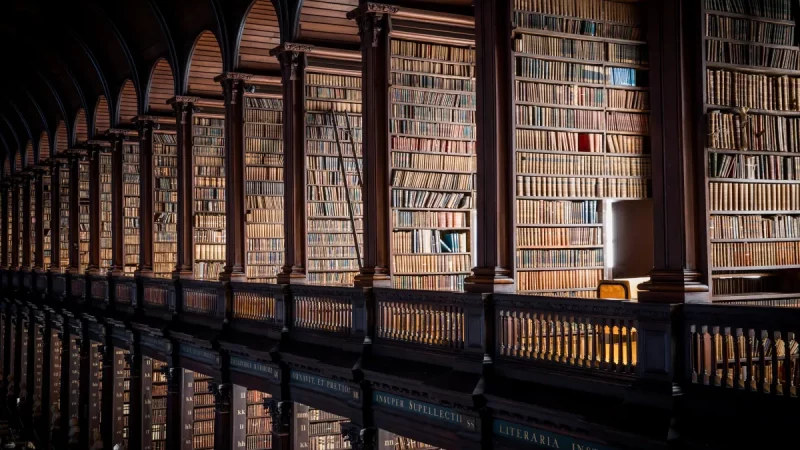 Long Room Shelves