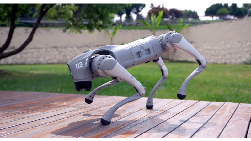 Caine robot