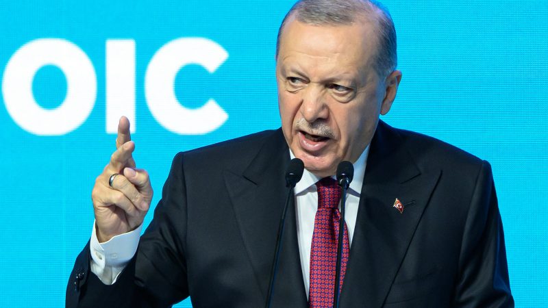 TURKEY OIC DIPLOMACY