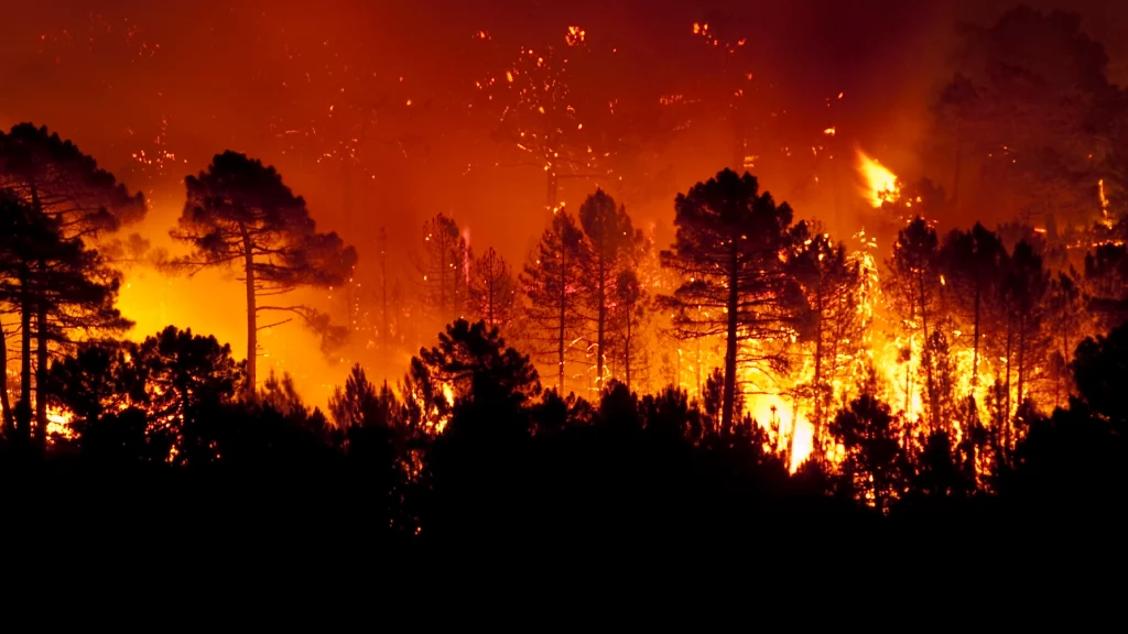 Incendii
