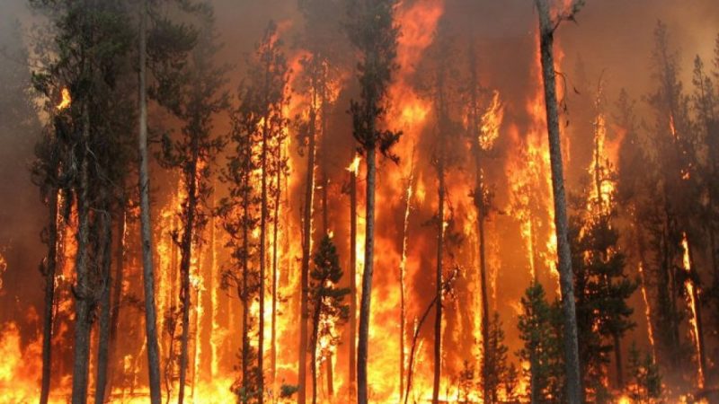 Incendii vegetatie spania