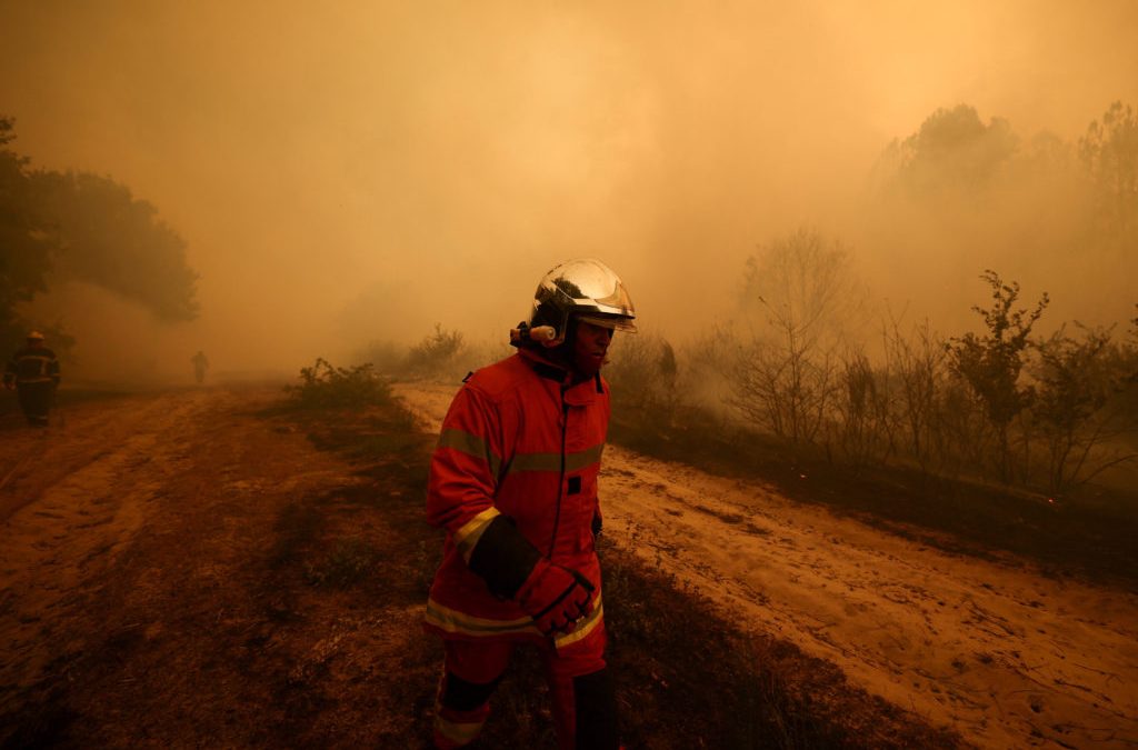 Spania și Franța se confruntă cu incendii puternice de vegetație. Peste 250.000 de persoane au fost evacuate de urgență