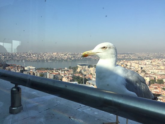 Rixos pera istanbul