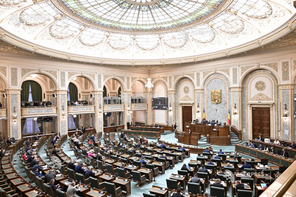Senat
