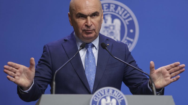 Bolo