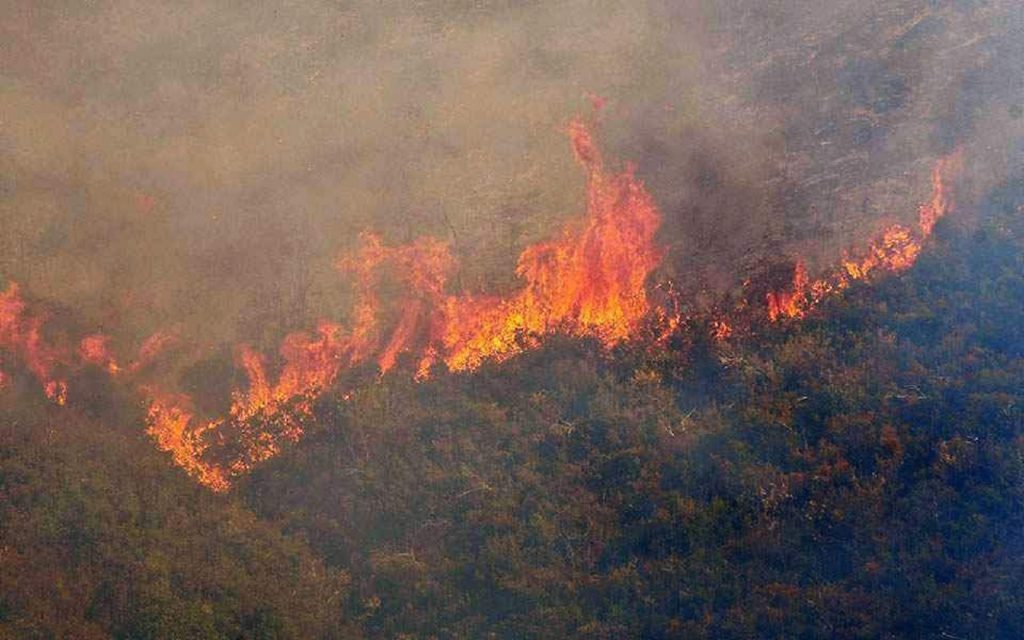 România este în primele 5 țări de pe continent la capitolul pagubelor produse de caniculă. În Europa au fost produse deja pierderi de peste 3 miliarde de euro
