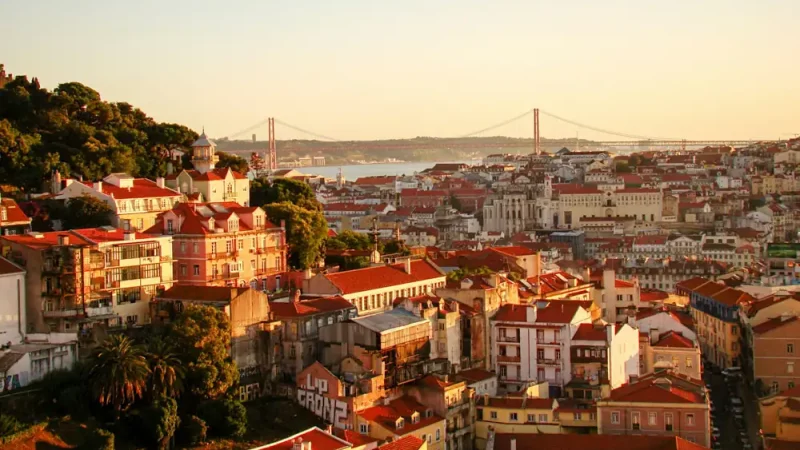 Joao alexandre paulo HsGcpxsZfBE unsplash MOBILE HEADER