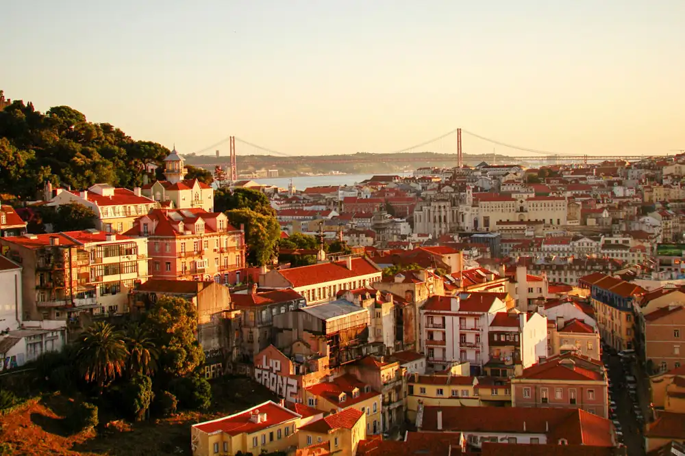 Joao alexandre paulo HsGcpxsZfBE unsplash MOBILE HEADER