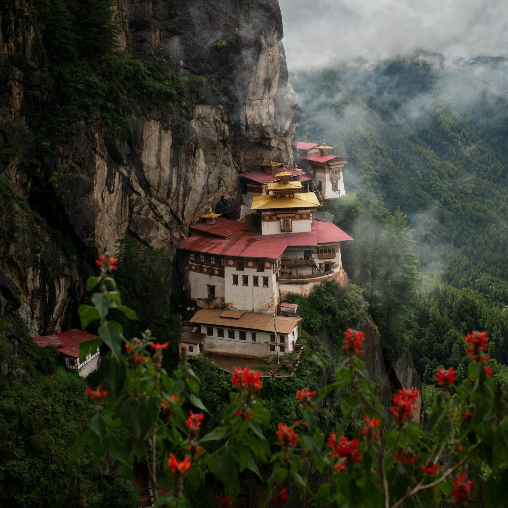 Raul taciu Nc 0UwdZG o unsplash