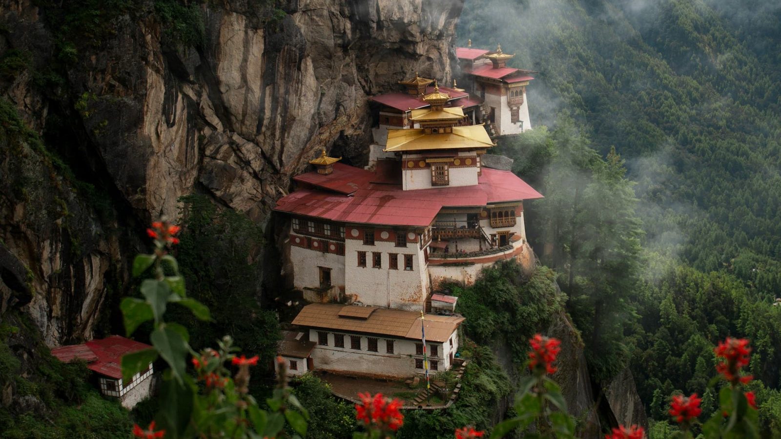 Vrei să scapi de claxoane, trafic și aglomerație? Bhutan, Namibia și Botswana conduc clasamentul celor mai „tăcute” țări din lume