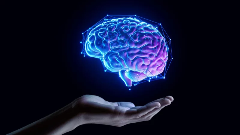 Hand holding glowing human brain