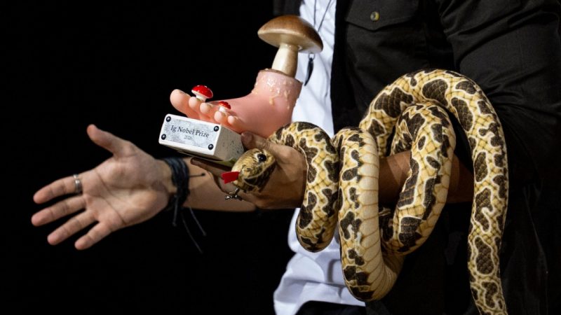 Ig nobel