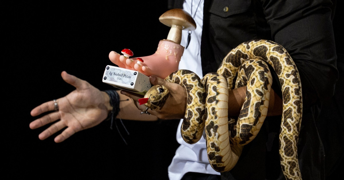 Ig nobel