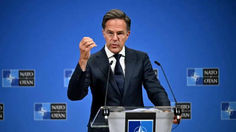 Nato rutte