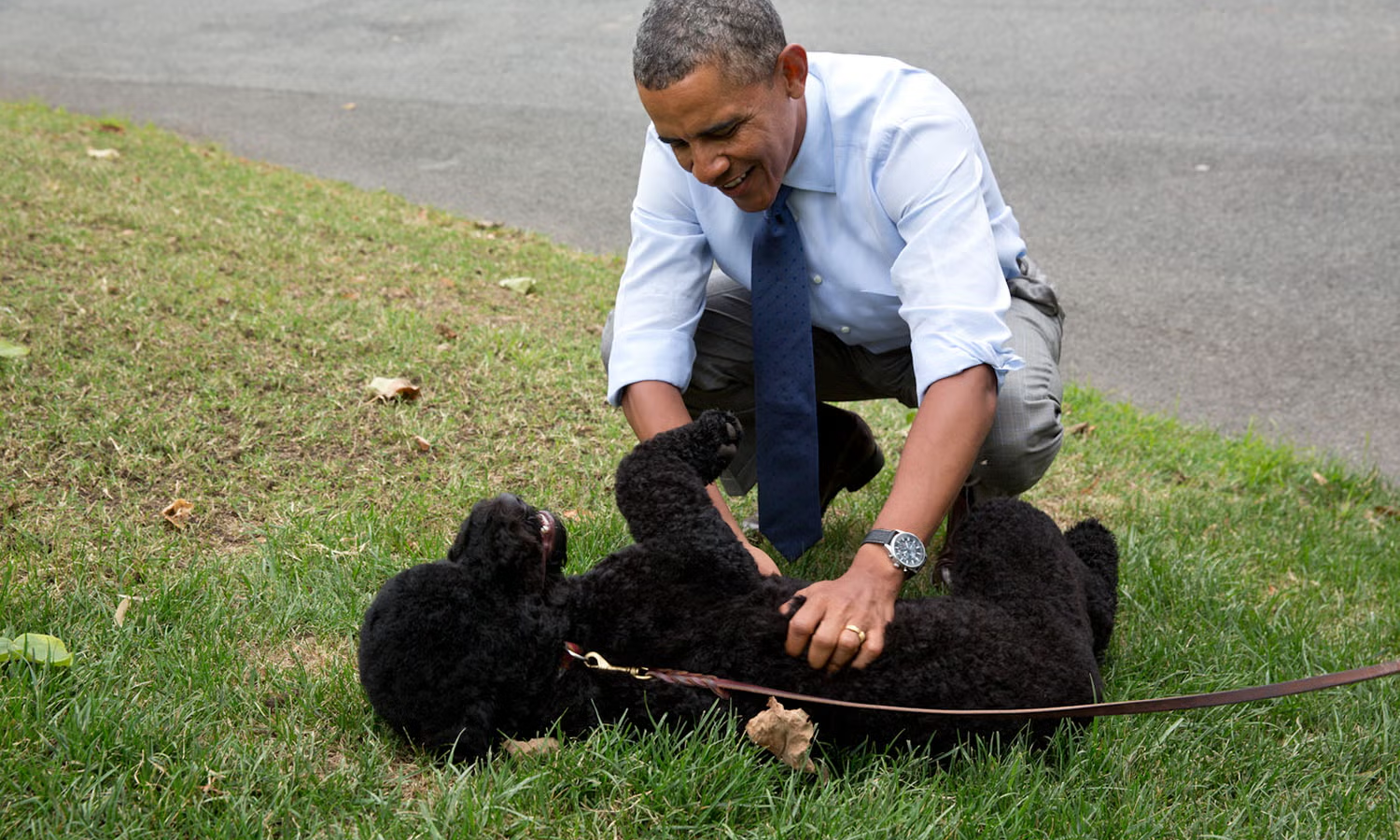 Barack Obama anunță moartea cățelușei sale Sunny, după 13 ani alături de familie: „Ne va lipsi enorm”