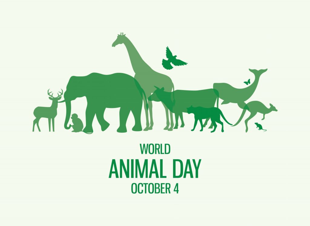 De Ziua Mondială a Animalelor, ești îndemnat să privești lumea prin ochii lor