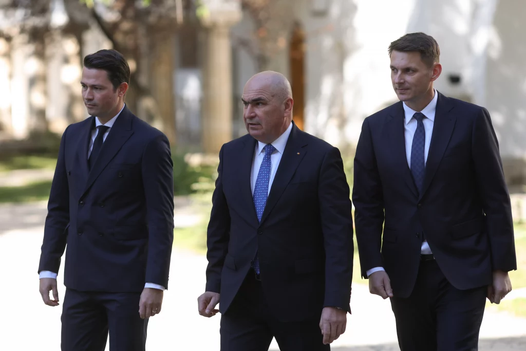 Bolo