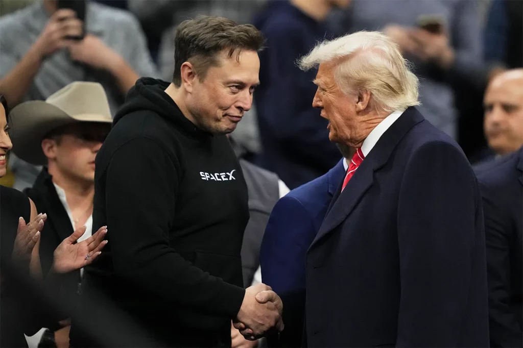 Musk tump