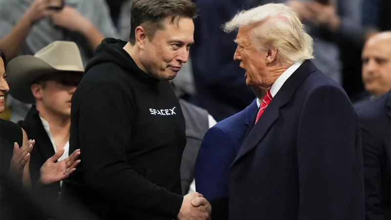 Musk tump