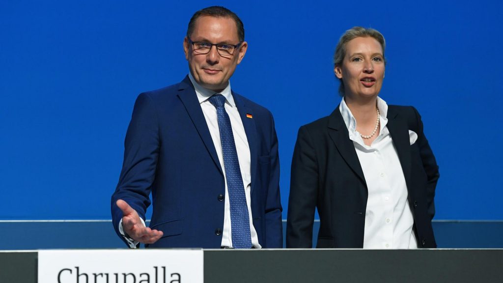 Weidel chrupalla 100 1920x1080